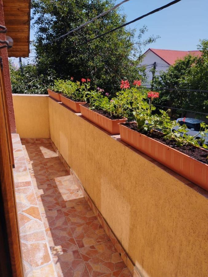 Vila Florelena Navodari Exterior photo